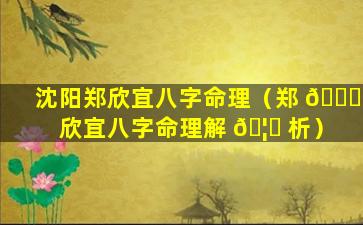 沈阳郑欣宜八字命理（郑 💐 欣宜八字命理解 🦄 析）